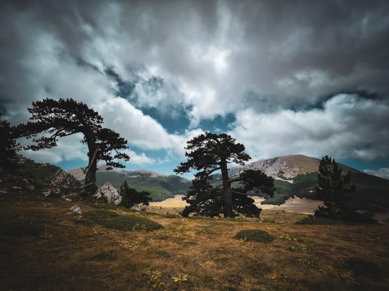 Pini Loricati - trekking giardino degli dei pollino 14 km