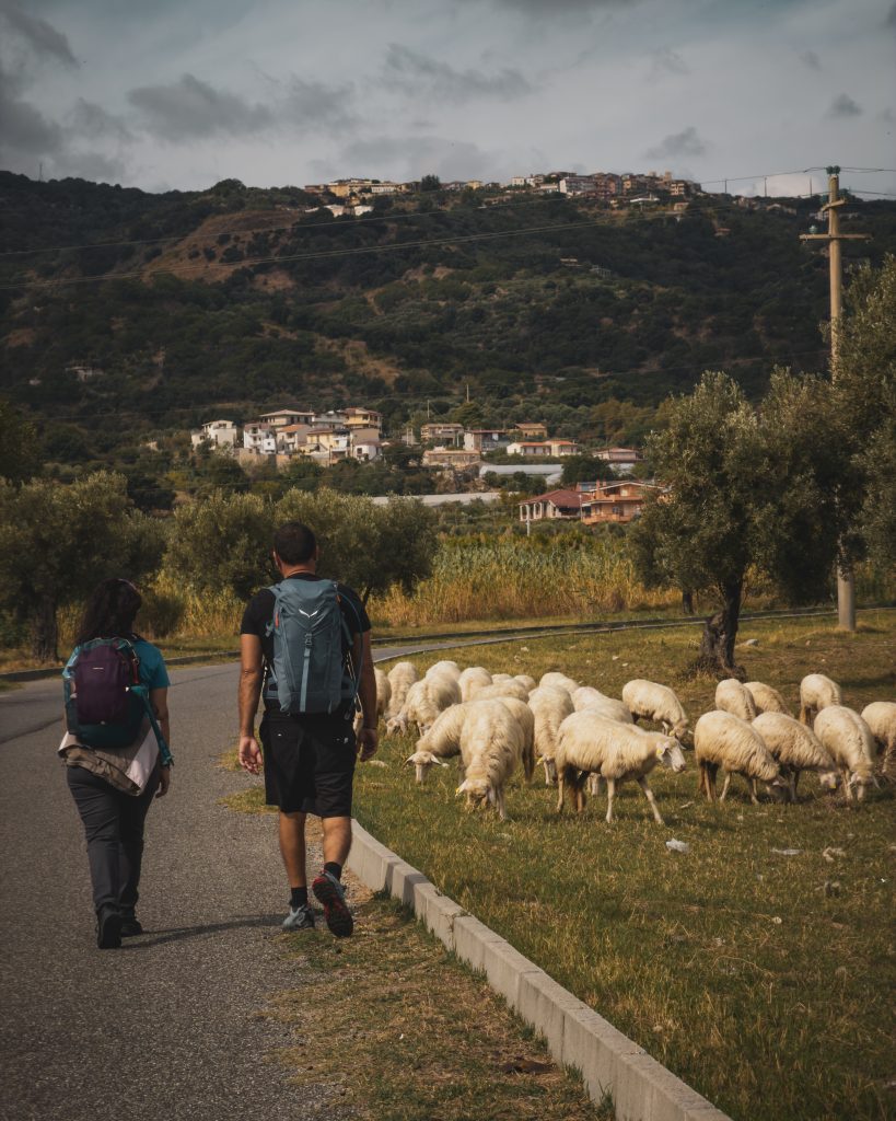 Incontri speciali 