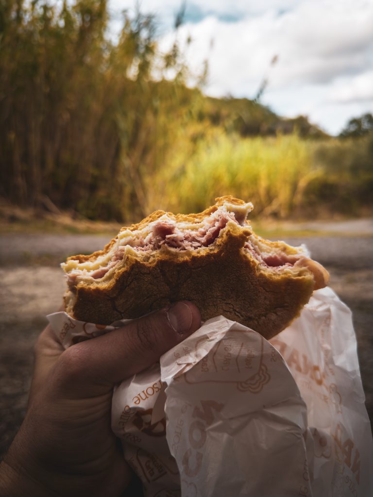 Panino rigenerativo