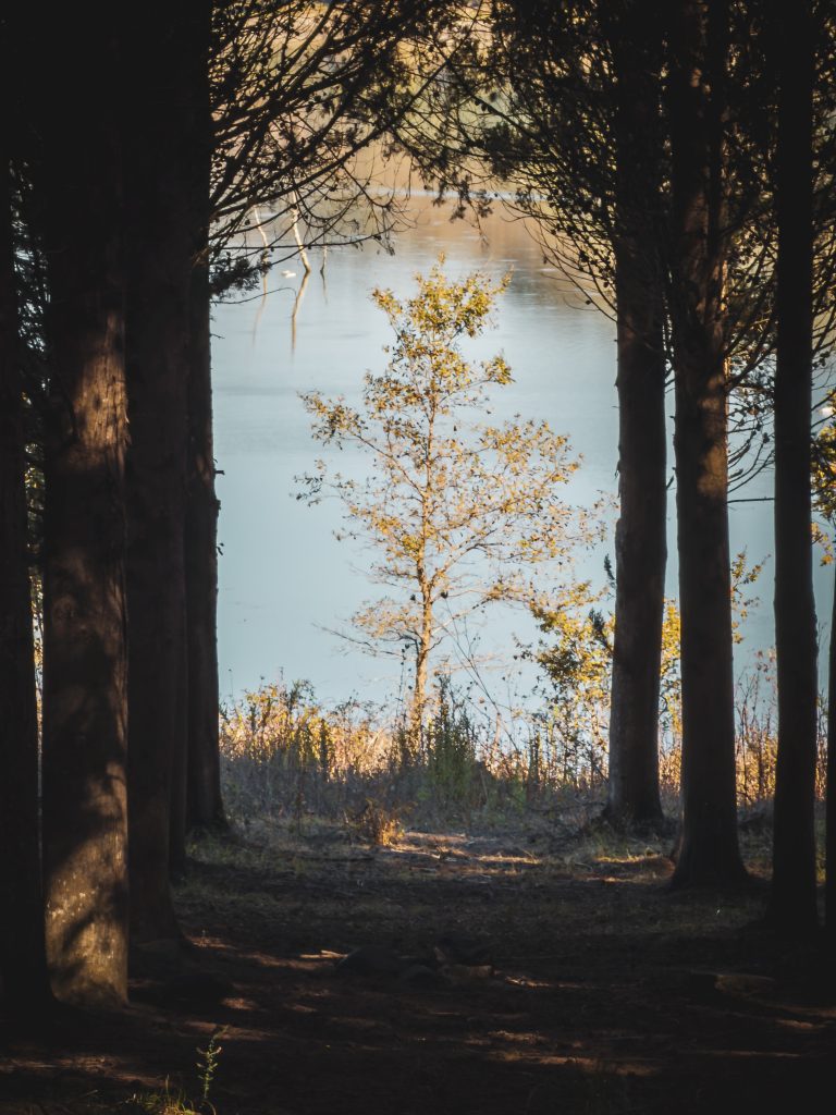 Lago Acero